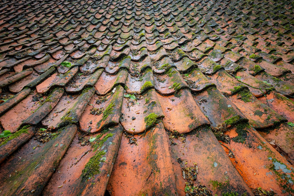 Roof surface shown during a roofing project | Nansemond River Roofing & Siding